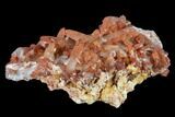 6.8" Natural, Red Quartz Crystal Cluster - Morocco - #131356-3